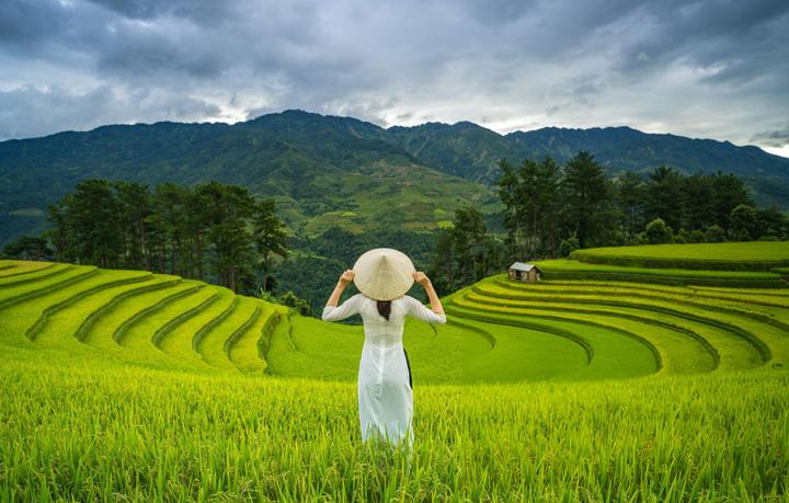 Tiêu đề: Gen Z: Lựa chọn sống