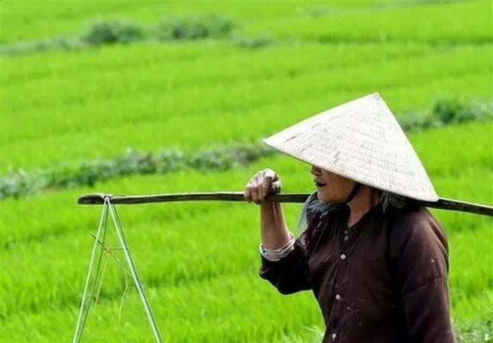 Từ