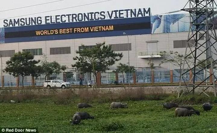 Giảm Chi Phí Khởi Nghiệp Video Ngắn cùng Hotspot Matrix
